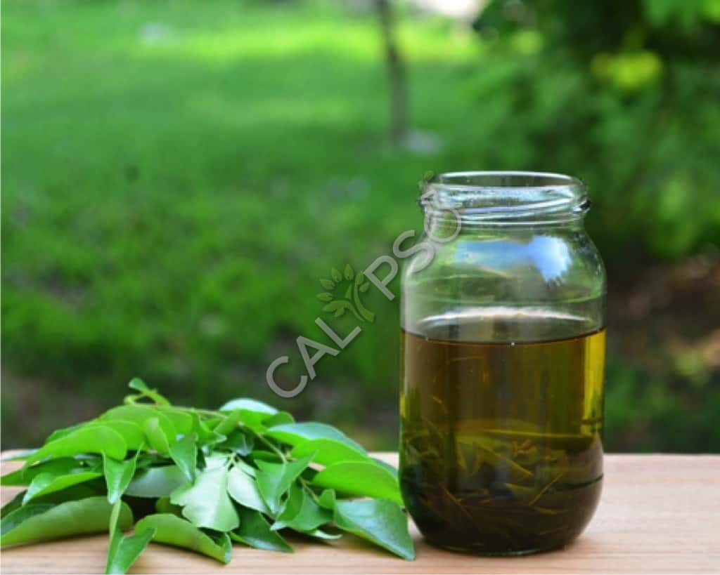 Aceite de especias de hoja curry